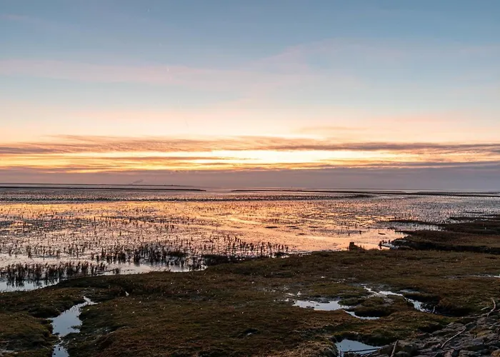 Scholle By Interhome 公寓 *