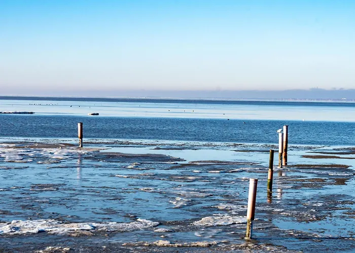 Scholle By Interhome * 诺德代希